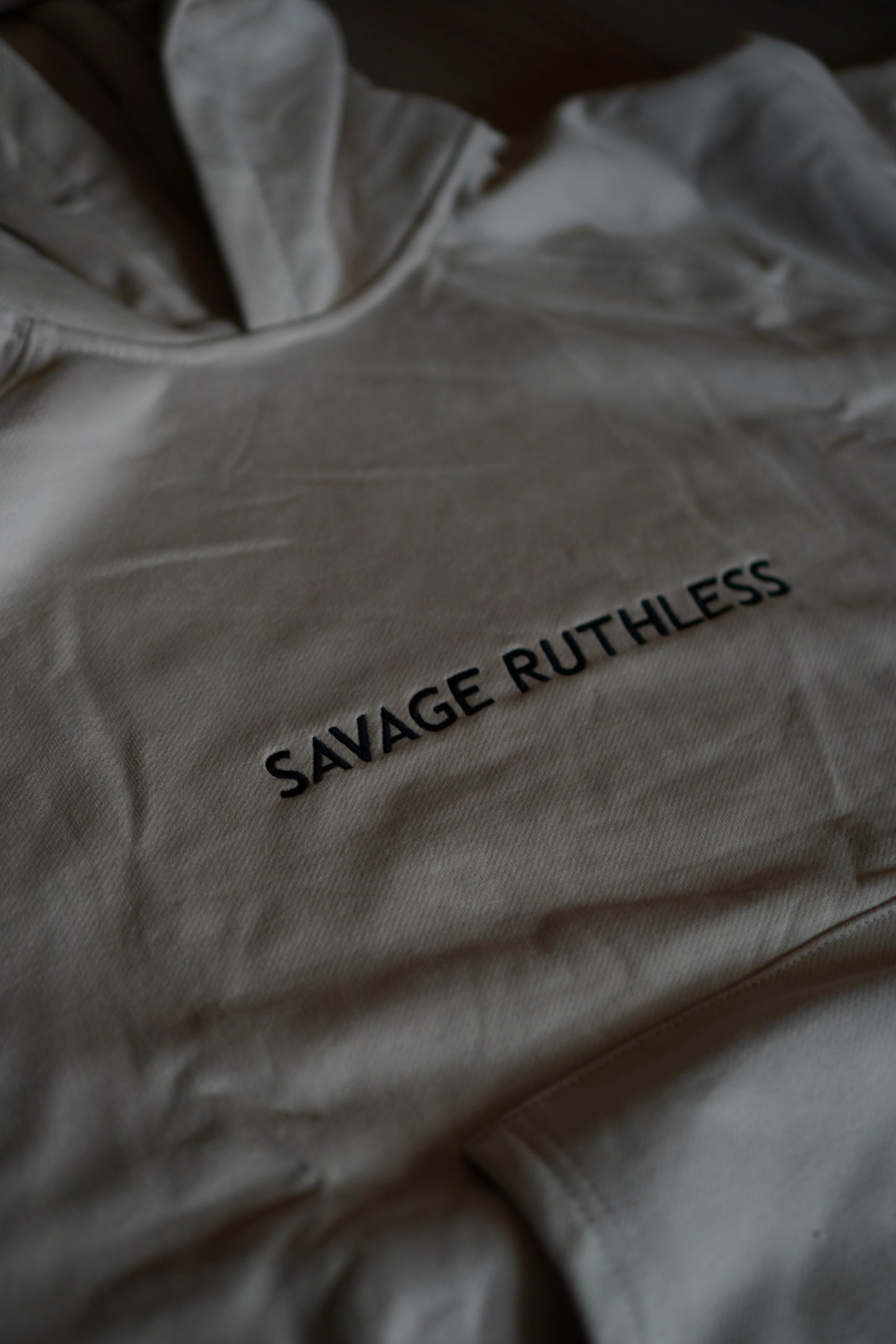 'Take The Risk' Heavyweight Savage Ruthless Hoodie